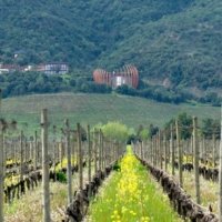 Partner The Premiere Luxury Experience in Chile photo